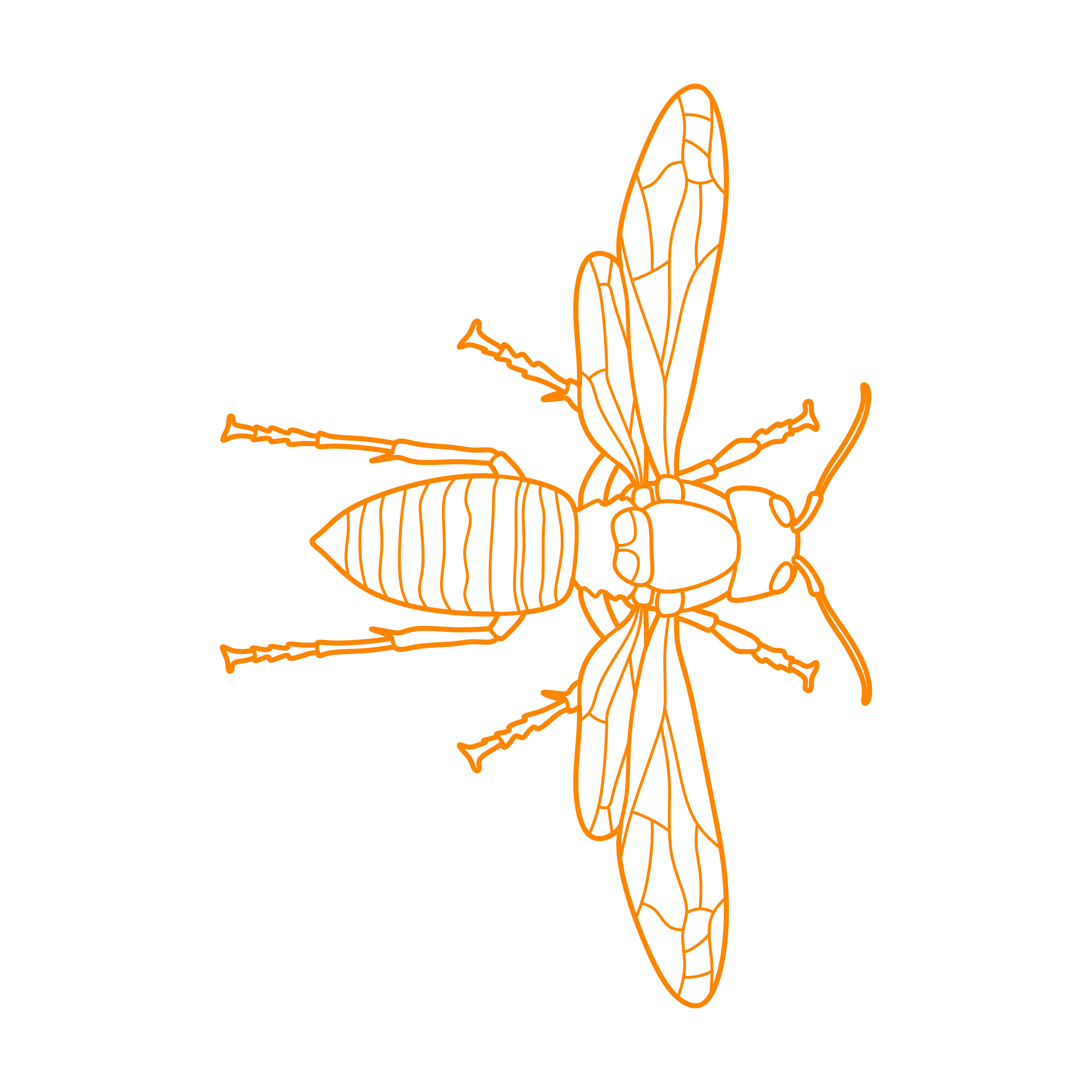 Animals Insects Asian Giant Hornet Stencil Svg Vector Free Vectors